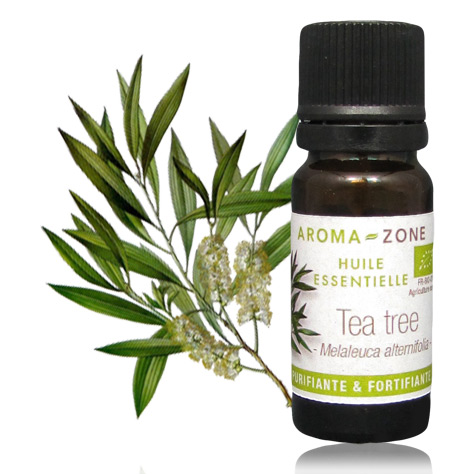 Zoom sur l'huile essentielle de Tea Tree : l'indispensable de la